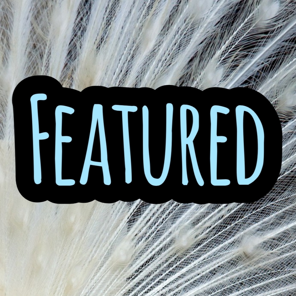 Featured Seasonal Items